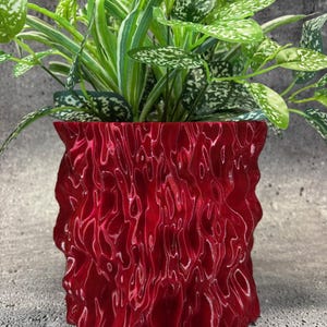 Puede incluir: Una maceta de cerámica roja texturizada con una planta verde en su interior. La maceta tiene un diseño ondulado y orgánico.
