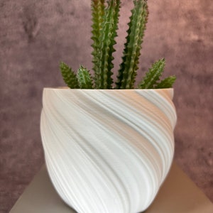 May include: A white ceramic planter with a swirling, textured design. A green succulent plant with red tips is growing in the planter.