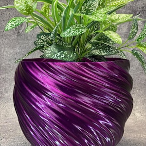 May include: A purple swirl planter with a green plant with white speckles on the leaves.