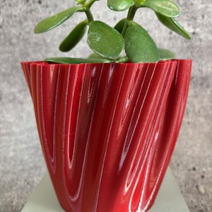 Puede incluir: Una pequeña planta suculenta verde en una maceta de cerámica roja ondulada. La maceta tiene un diseño único y texturizado.