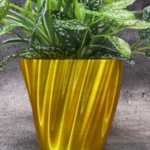 May include: A gold, wavy, textured planter with a green plant with white stripes on the leaves.