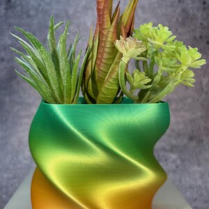 Può includere: Un vaso da fiori con gradiente verde, giallo e arancione con un design a spirale. Il vaso è riempito con tre diversi tipi di piante grasse verdi.