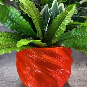 May include: A vibrant orange, textured planter filled with lush green and white foliage. The planter has a unique, swirling design. The leaves are a mix of textures and shades of green, creating a visually appealing contrast.