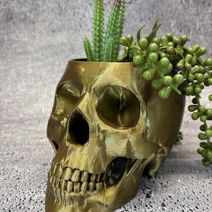 以下が含まれることがあります： 金色の頭蓋骨の形をしたプランターに多肉植物が植えられています。頭蓋骨は歯と眼窩が細かく作られています。