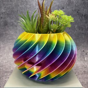 Medium Pot for Succulents, Cactus or any Plant with Built in Drainage Tray (Multi color) - 6"x4"