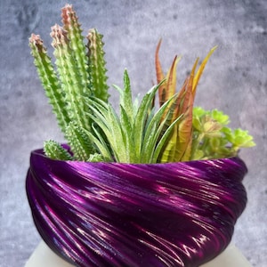 May include: A purple swirl planter with a variety of succulents and cacti. The planter is made of a smooth, glossy material and has a unique, organic shape.