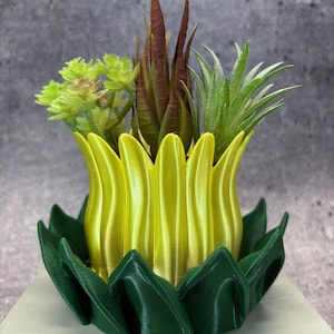 Small Short Flowerpot with Saucer for Plants of all kinds (Green and Yellow color) - 3.75" Diameter by 3.25" Tall; Unique; USA Store
