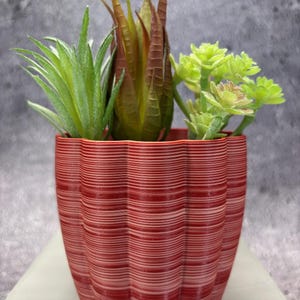 Op de afbeelding: Een rood-wit gestreepte plantenpot met een gegolfde rand, gevuld met drie verschillende soorten groene succulenten.