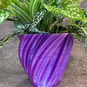 Puede incluir: Una maceta de color púrpura con forma de espiral con una planta verde con manchas blancas que crece en su interior.