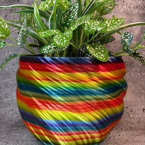May include: A rainbow swirl planter with a green plant inside. The planter is made of a 3D printed material and has a glossy finish.