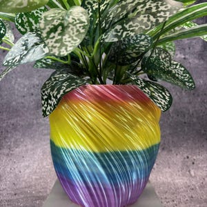May include: A colorful, spiral-patterned planter in shades of pink, yellow, blue, and purple holds a green plant with white-speckled leaves. The plant pot sits on a white surface against a gray backdrop. The pot's design adds a modern touch.
