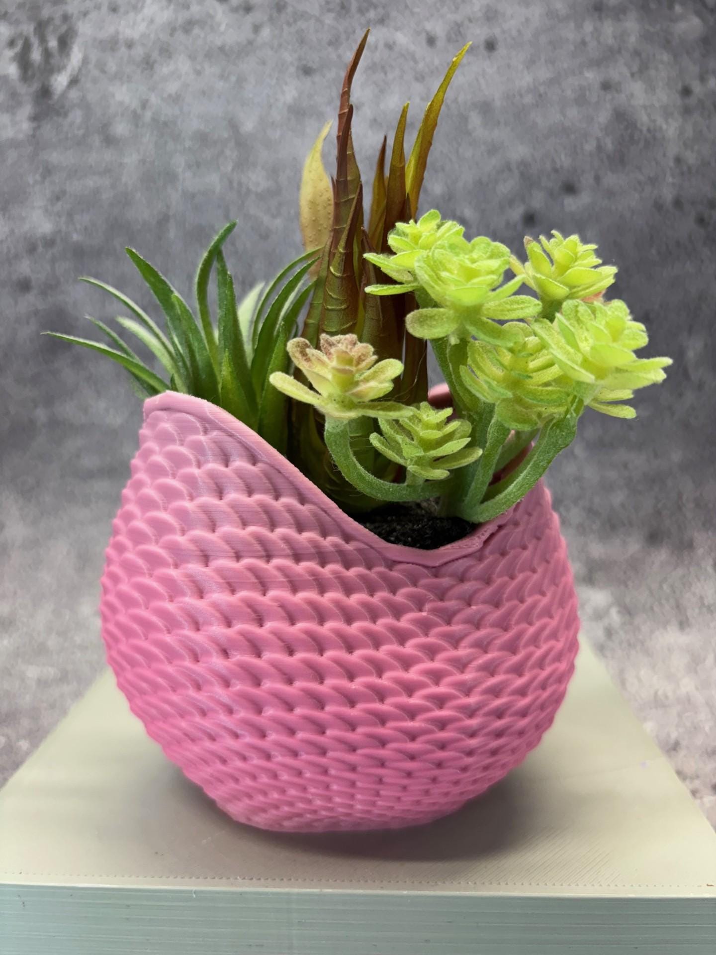 monstera moosstab Monstera am Moosstab – ruuds