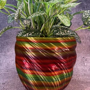 May include: A red, green, and gold swirl patterned ceramic planter with a green plant with white speckles.