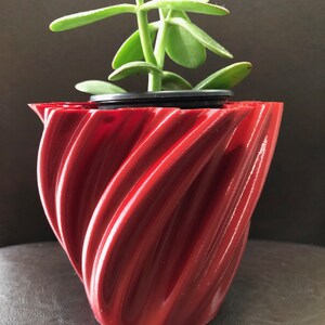 Può includere: Un vaso da fiori rosso stampato in 3D con un design a spirale. Una piccola pianta grassa verde sta crescendo nel vaso.