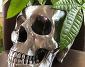 Extra Extra Large Skull pot for Succulents, Cactus or any Plant - 7.5 quot wide x 11 quot deep x 7 quot tall (Black Silk color)