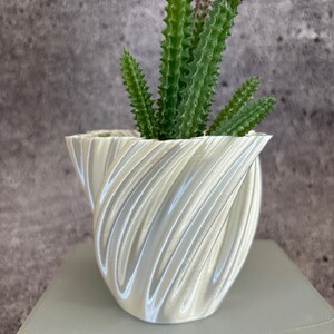 May include: A white, 3D printed planter with a swirling, textured design. A green succulent plant with spiky leaves is growing in the planter.
