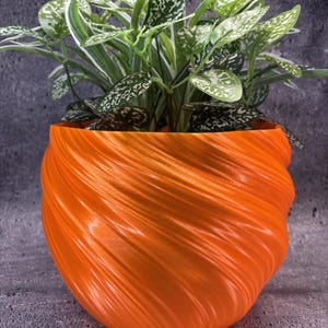 Puede incluir: Una maceta naranja brillante, con textura en espiral, llena de una planta de interior. La planta tiene hojas verdes con manchas blancas y verde oscuro. La maceta es de color naranja vibrante y está sobre una superficie gris.