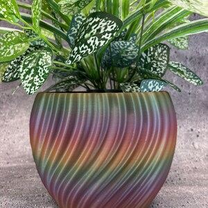 May include: A houseplant with green and white speckled leaves in a decorative pot. The pot has a swirling pattern and a gradient of colours, including purple, orange, and green. The plant pot is a unique home decor item.