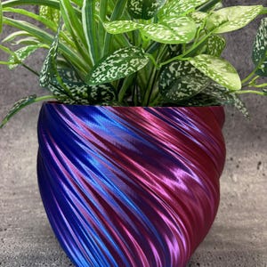 Puede incluir: Una maceta iridiscente azul y rosa con un patrón de remolino. Una planta verde con marcas blancas está en la maceta.