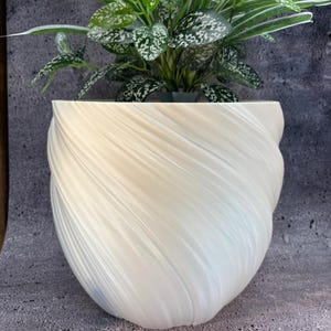 Puede incluir: Una maceta blanca texturizada con un diseño en espiral, que contiene una planta verde con hojas moteadas. La maceta tiene forma redondeada y se encuentra sobre una superficie gris.