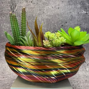 Large Shallow Twisted Planter for Succulents or Cati (Red, Black, Gold color)-10" Diameter by 4" Tall; Modern Planter; USA Store