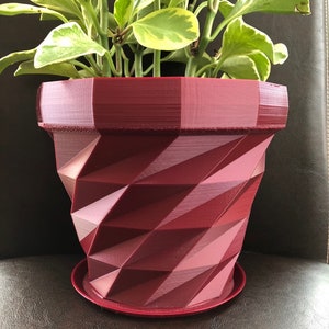 Puede incluir: Una maceta geométrica color burdeos con un platillo a juego. La maceta tiene un diseño facetado único y está llena de una planta verde con hojas y variegación blanca.