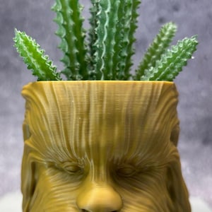 May include: A brown ceramic planter shaped like Chewbacca's head, with a green succulent plant growing inside.