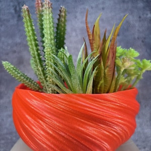 May include: A red, swirl-shaped ceramic planter with a variety of green succulents. The planter has a textured, wavy surface.