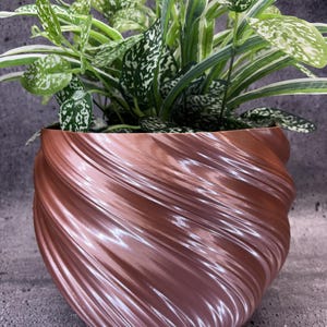 May include: A metallic copper-coloured planter with a rounded, swirling, ribbed texture. The planter contains a lush plant with variegated green and white leaves that extend outward from the top opening of the container.