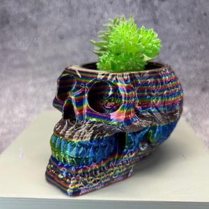 Small Skull Pot for Succulents, Cactus or any Plant - 3"x4" (Multi-color); USA Store