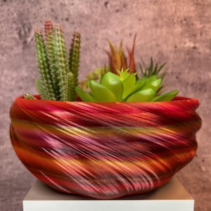 Mittelgroßer flacher Twisted-Pflanzgefäß für Sukkulenten oder Cati (verschiedene rote Regenbogenfarben) - 20,3 cm Durchmesser mal 9,5 cm hoch; Moderner Blumentopf; USA Shop