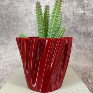 Op de afbeelding: Een rode, 3D-geprinte plantenpot met een golvend, organisch ontwerp. Een kleine succulent met groene bladeren en rode stengels groeit in de pot.