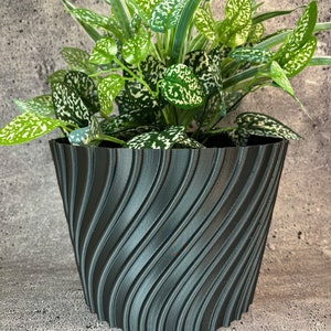 Puede incluir: Una maceta negra con un diseño texturizado en espiral que contiene una planta verde con manchas blancas en las hojas.