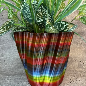 May include: A colorful, wavy, striped planter with a green plant inside. The planter is made of a shiny, iridescent material and has a unique, modern design.