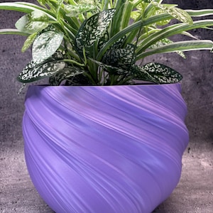 May include: A lavender-colored planter with a distinct swirling, ribbed texture on its exterior surface. The pot contains a lush, leafy plant with variegated green and white foliage that extends upwards from the center of the rounded container.