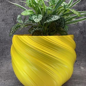 May include: A yellow planter with a swirling, textured design. The planter is filled with a green plant with white markings on the leaves.