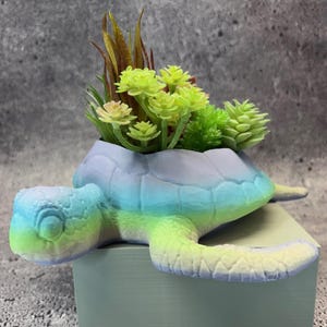 May include: A colorful turtle-shaped planter with a gradient of blue, green, and yellow. The planter is filled with a variety of artificial succulents and greenery. The turtle's head and flippers are detailed, and the overall design is whimsical.