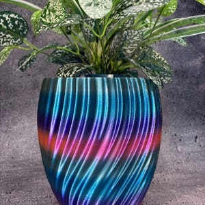 May include: A vibrant, multi-colored plant pot with a swirling, ridged design. The pot transitions from blue to pink and orange hues. The pot holds a green plant with white-speckled leaves, creating a striking contrast.