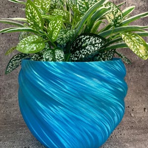 May include: A blue, swirl-patterned ceramic planter with a green plant with white variegation.
