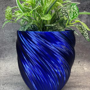 May include: A vibrant blue, spiral-textured planter pot holding a lush green plant with white speckled leaves. The pot's design features a swirling pattern, adding a modern touch to the plant's presentation. The plant has long, slender leaves.