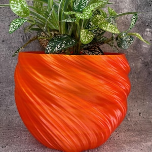 Könnte beinhalten: Ein orangefarbener Blumentopf mit spiralförmiger Textur beherbergt eine grüne Pflanze mit weiß gefleckten Blättern. Das einzigartige Muster des Topfes erzeugt eine moderne Ästhetik. Das grüne Laub der Pflanze bildet einen Kontrast zum leuchtenden Orange des Topfes.