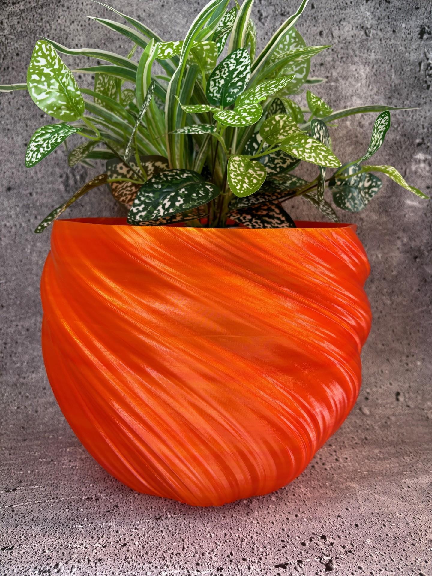 thymian blumenkasten Thymian 