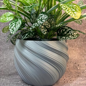 May include: A gray, swirl-patterned ceramic planter with a green and white leafy plant inside.