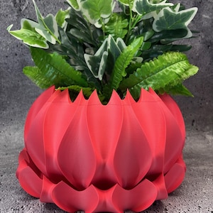 Extra Large Plant Saucer - Etsy