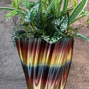 May include: A potted plant with green and white speckled leaves. The plant is in a decorative, swirling-patterned pot with a gradient of colors, including gold, brown, and blue. The pot has a unique, textured design.