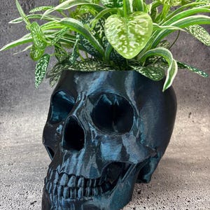 May include: A dark metallic blue skull-shaped planter with a glossy finish. The skull features realistic anatomical details including eye sockets, a nasal cavity, and teeth. A vibrant green and white variegated plant grows from the top.