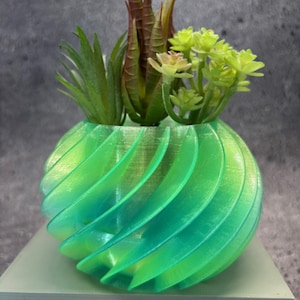 Pot for Succulents, Cactus or any Plant with Built in Drainage Tray (Multi color) - 5"x3.5" -Small size