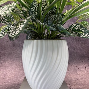 Puede incluir: Una maceta de cerámica blanca texturizada con un diseño en espiral, que contiene una vibrante planta verde con hojas moteadas. La planta tiene hojas largas y delgadas con rayas blancas. La maceta se encuentra sobre un soporte rectangular gris.