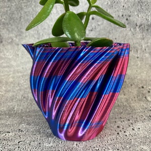 Op de afbeelding: Een kleine, 3D-geprinte plantenbak met een wervelend ontwerp in blauw en magenta. Het bevat een jadeplant met heldergroene, ovale bladeren. De pot heeft een unieke, getextureerde uitstraling.