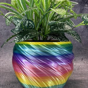 Könnte beinhalten: Ein farbenfroher, regenbogenfarbener Blumentopf mit einem Wirbeldesign, der eine üppige grüne Pflanze mit weiß gesprenkelten Blättern enthält. Die Farben des Topfes gehen von Gelb über Rot, Lila bis Blau über. Ein dekorativer Artikel.